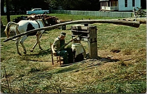 Postcard Tennessee - Sorghum Cane Being Crushed, Cades Cove, Great Smoky Mnts NP - Picture 1 of 2