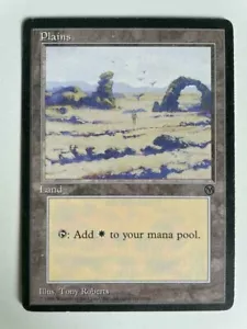 MTG PROMO ARENA DCI PLAINS EX- MAGIC THE GATHERING 1996 BASIC LAND SPECIAL - Picture 1 of 6