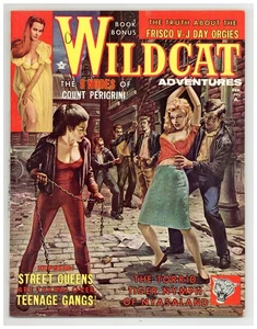 Wildcat Adventures Vol. 3 #4 FN- 5.5 1962 - Picture 1 of 4