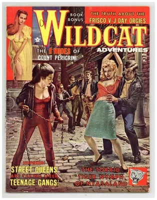 Wildcat Adventures Vol. 3 #4 FN- 5.5 1962 - Image 1 of 4