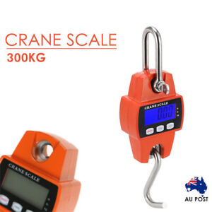 Mini Portable Crane Scale 300kg 0.1kg LCD Digital Electronic Hook Hanging Scale