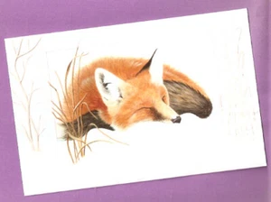 Red Fox Dreamin' Embossed Christmas Cards Box of 16 by Shane Dimmick Made in US - Picture 1 of 3