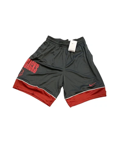 NWT NEW Alrkansas Razorbacks Nike Men's Dri Fit Athletic Shorts Large Cover