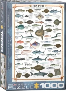 Eurographics Mar Pez 1000 Rompecabezas de Piezas 680mm x 480mm ( Pz ) - Picture 1 of 3