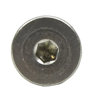 Polaris 1800211 Bleed Screw RZR SwitchBack Rush RMK PRO IQ Fusion Dragon 600RR - Imagem 1 de 2