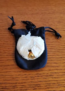 Lunar 2: Eternal Blue Complete PlayStation 1 Lucias Pendant + Bag ONLY Ps1 - NEW - Picture 1 of 2