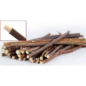 Organic Australian Grown Neem Datun Stick Twigs fresh picked 25 - Picture 1 of 2