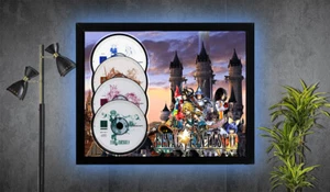 Final Fantasy IX - Orginal Display Art - 11" by 14" frame - original discs - Picture 1 of 1