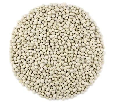 BALTORO FOODS BaltoroFoods Organic Navy Beans Raw non GMO Vegan Bulk