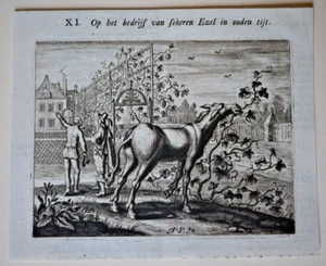 Adriaen van de Venne (Jacob Cats), EMBLEM BOOK - DONKEY AND VINES etching 1656 - Picture 1 of 3