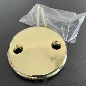 Universal 2-hole Polished Brass Overflow Faceplate W/ Matching Screws - Picture 1 of 9