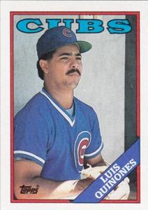 1988 TOPPS...LUIS QUINONES...NRMT...# 667...CUBS...FREE COMBINED SHIPPING - Bild 1 von 1