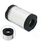Replacement Air Filter For Tecumseh 35066 & Sears 10096 63087a Lev90 Lev100 g