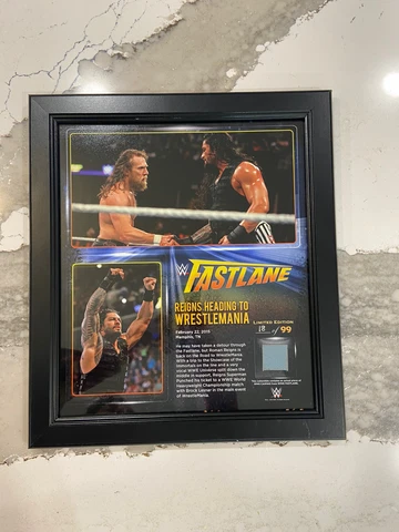 WWE Roman Reigns & Daniel Bryan FASTLANE 2015 Plaque 18/99 WWF AEW Ring Canvas Cover