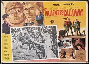 S006 THOSE CALLOWAYS, Mexikanischer Film Lobby Card '65 Walt Disney - Bild 1 von 2