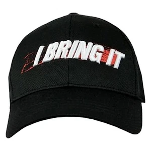 The Rock I BRING IT Baseball Cap Hat WWE New - Picture 1 of 5
