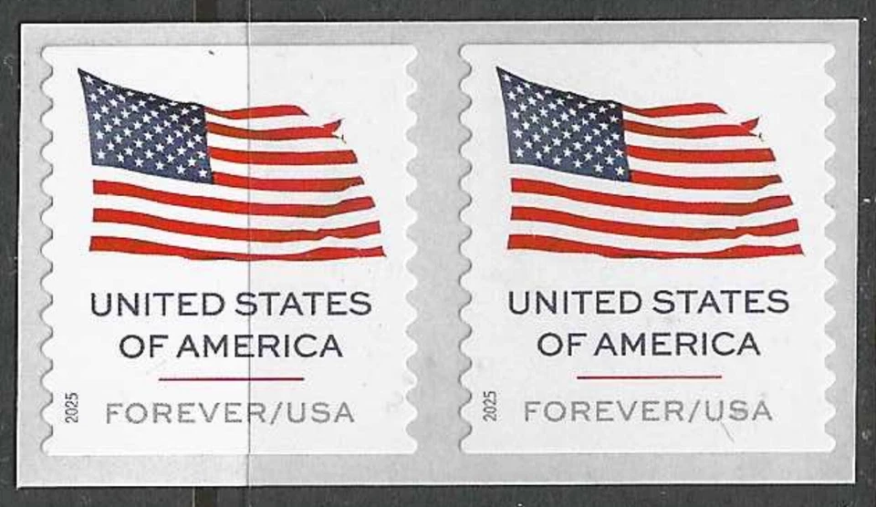 USA Sc. 6018 (F) Flag 2025 MNH APU coil spaces pair - Image 1 of 1