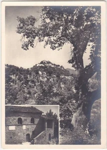 CAPRESE MICHELANGELO - AREZZO -8585- - Picture 1 of 1