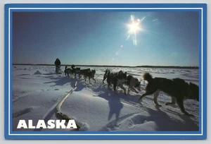 Postcard Iditarod Alaska Arctic Dog Team Sled Dog Sledding Winter Sports - Picture 1 of 2