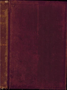 1885 Genealogy of the De Veaux Family Numerous Forms Name Spelling, Genealogical - Picture 1 of 2