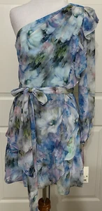 NWT Alex Marie size 6P Sophie bluemist Floral One Shoulder A-line Dress $148 - Picture 1 of 7
