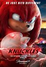 AFFICHE TV Knuckles Sonic The Hedgehog série premium FABRIQUÉE AUX ÉTATS-UNIS - CIN995