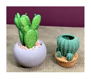 2 DIFFERENT CACTUS PLANTS IN THEIR OWN LITTLE PLANTERS DECOR - Picture 1 of 6