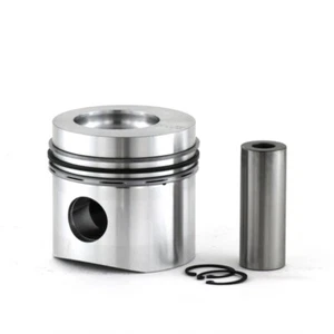 Piston pour Support 6001 100,00mm dimension standard - Bild 1 von 1