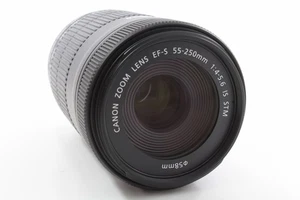 Canon EF-S 55-250mm 1:4-5.6 IS STM, neuwertig - Bild 1 von 5