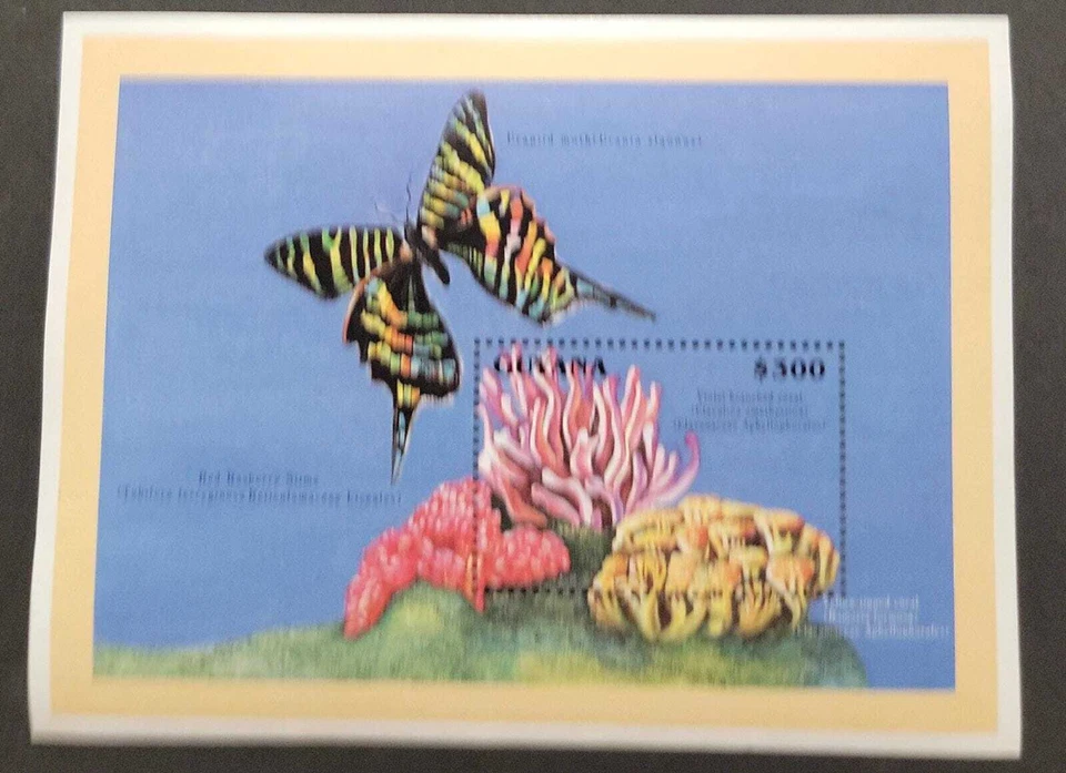 SO) GUYANA, MARIPOSAS, NATURALEZA, HOJA DE RECUERDO, MNH	 Foto 1 de 1