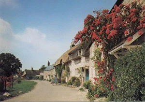 (cb65) Tarjeta postal de Winkle Street Calbourne - Isla de Wight - Imagen 1 de 2
