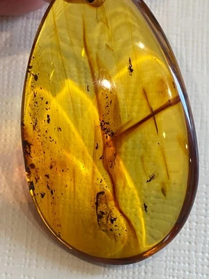 Auténtico collar colgante de cuero fósil de ámbar báltico con inclusiones de insectos Foto 1 de 4