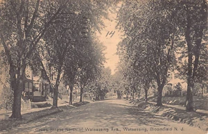 1914 Homes Grace St. North of Watsessing Ave. Bloomfield NJ post card - Bild 1 von 2