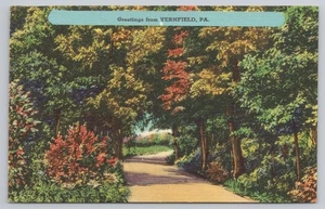 Tarjeta postal publicitaria de paisaje Saludos desde Vernfield PA UNP - Imagen 1 de 2