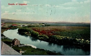 Results of Irrigation OREGON OR agriculture - Postcard - Picture 1 of 2