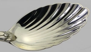 Torchon by Buccellati Sterling Silver Sugar Shell Spoon - Picture 1 of 5