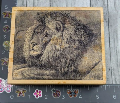 Sello de goma animal gato grande león magenta madera #E18 Foto 1 de 3