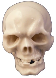 Antique 20thC Nymphenburg Porcelain Miniature Skull Bust Porzellan Totenkopf #3 - Picture 1 of 7