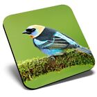 Square Single Coaster  - Exotic Tropical Bird Golden-hooded Tanager  #44987
