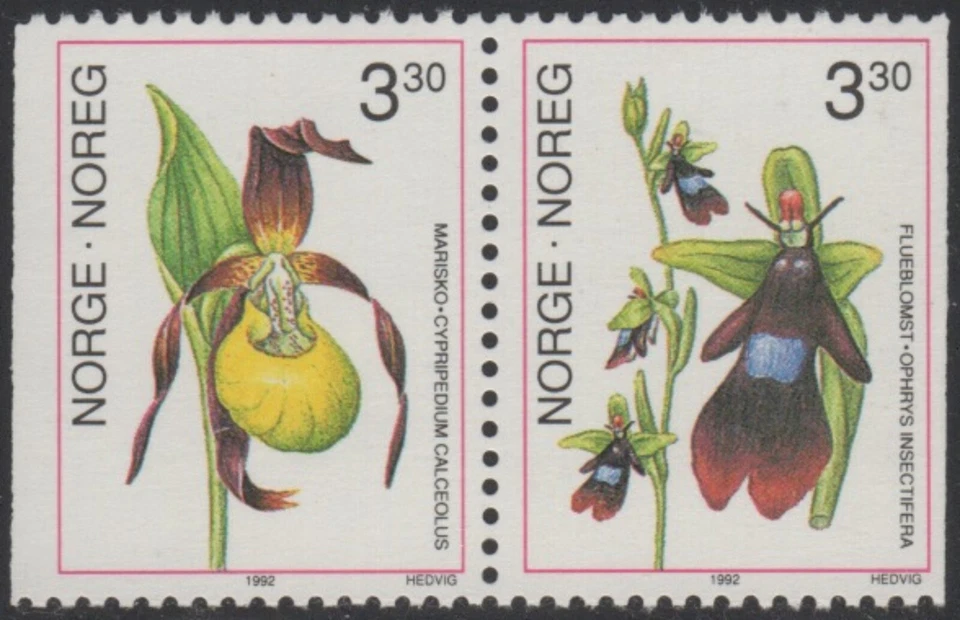 NORWAY Sc. 972-3 3.30k Orchids 1992 MNH booklet pair - Image 1 of 1