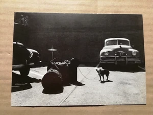 BULLDOG DRUMMER - POSTKARTE aus JAZZ SEEN von WILLIAM CLAXTON -ca. 16 x 11 cm - Bild 1 von 2