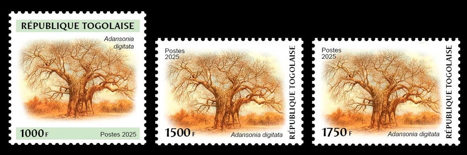 TOGO 2025 SET 3V - BAOBAB TREE TREES - MNH - Image 1 of 1