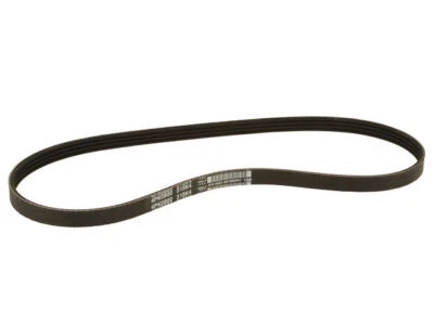 Cinturón multi costilla Dayco 94949CR 1995 1990 1991 1992 1993 1989-1997 Geo Metro Foto 1 de 2