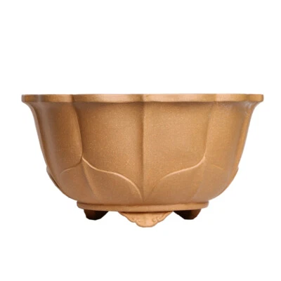 Maceta de arcilla en maceta bonsái con pétalo clásico chino Zisha de 8,86 pulgadas Foto 1 de 4