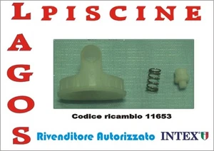 Ricambio INTEX Pin per Asta Verticale Ultra Frame cod. 11653 - Foto 1 di 1
