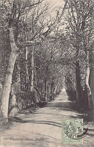 Jersey - Vinchelez Lane - Publ. unknown - Picture 1 of 2
