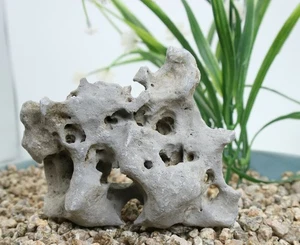 Viewing stone suiseki-scholar rock Ying stone Rough Decor Rockery bonsai J257 - Picture 1 of 8