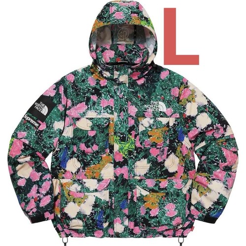 Supreme The North Face Giacca da Montagna Giacca da Trekking L