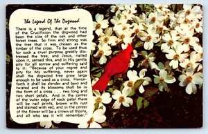 Legend of Dogwood Gedicht Postkarte - Bild 1 von 2