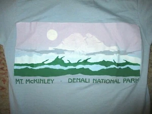 CAMISETA MOUNT MCKINLEY VINTAGE AÑOS 80 Parque Nacional Denali Alaska puntada única XS - Imagen 1 de 3